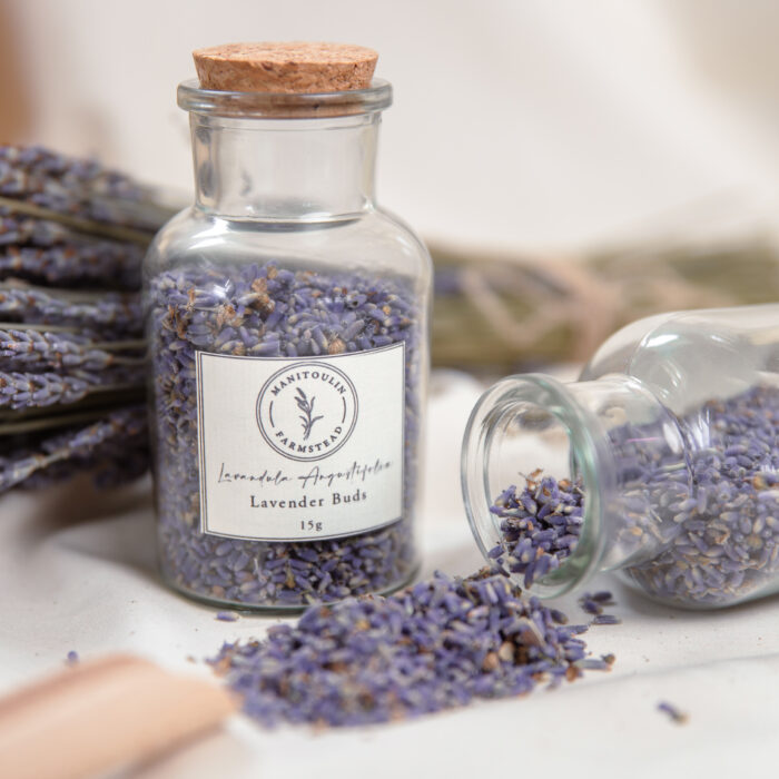 Lavender Buds