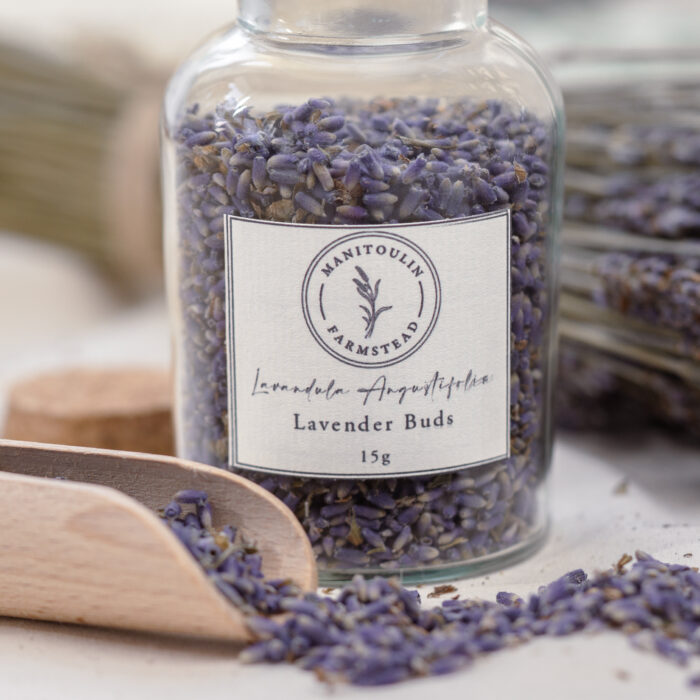 Lavender Buds - Image 3