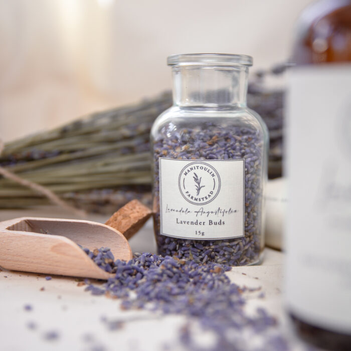 Lavender Buds - Image 4